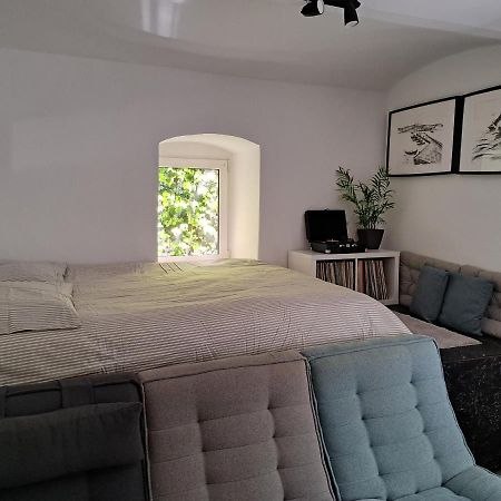 萨格勒布City Centar Apartman With Garden公寓 外观 照片