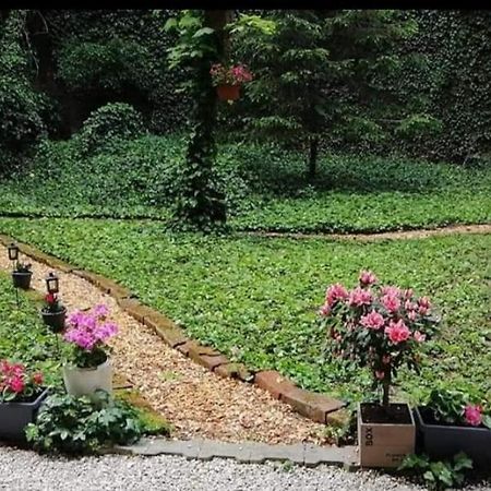 萨格勒布City Centar Apartman With Garden公寓 外观 照片