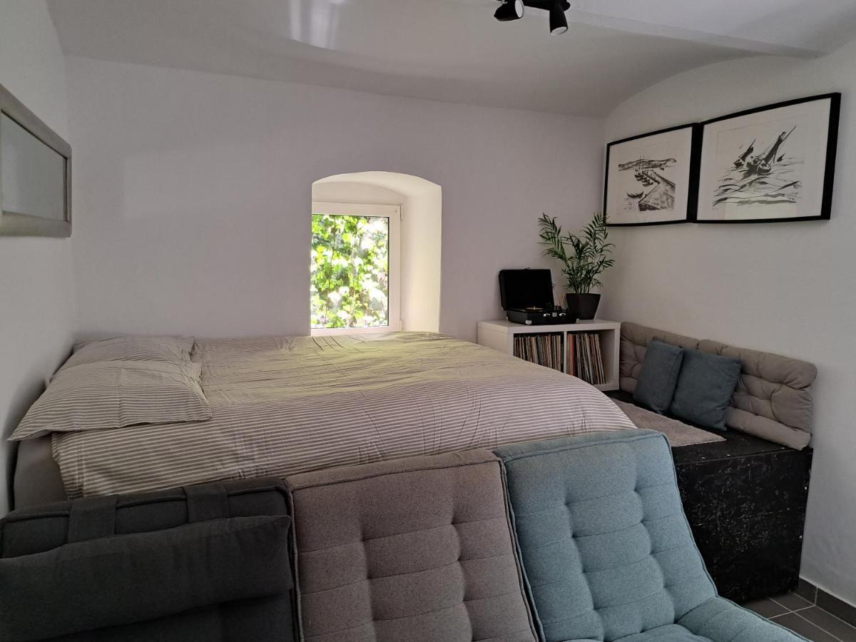 萨格勒布City Centar Apartman With Garden公寓 外观 照片