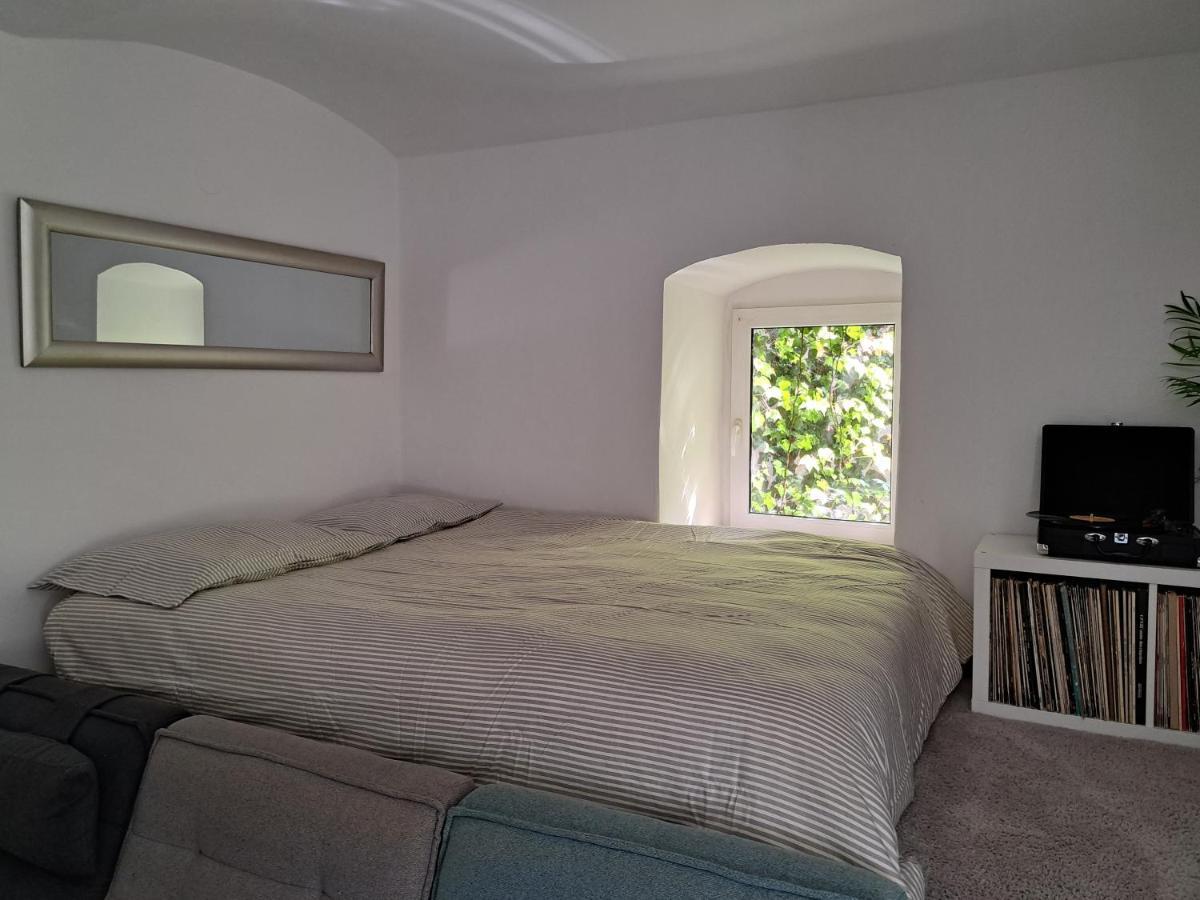 萨格勒布City Centar Apartman With Garden公寓 外观 照片