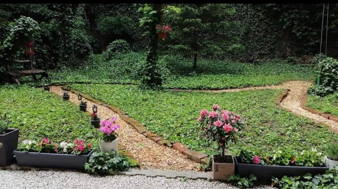 萨格勒布City Centar Apartman With Garden公寓 外观 照片