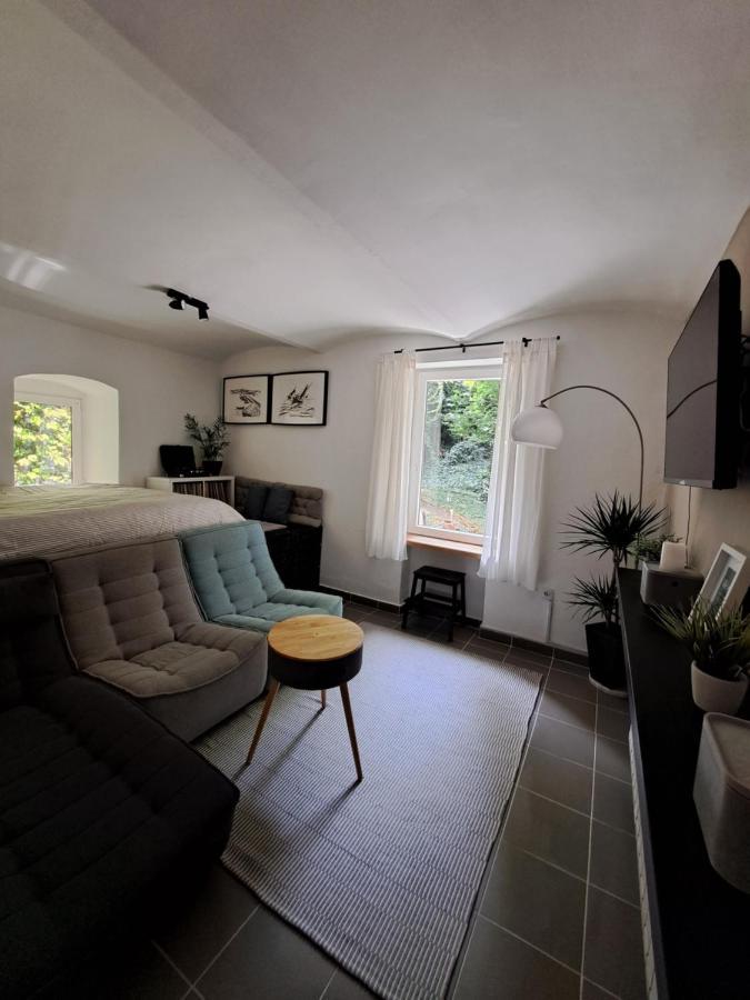萨格勒布City Centar Apartman With Garden公寓 外观 照片